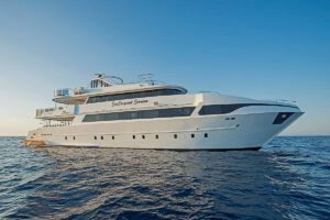 M/Y Sea Serpent Serena